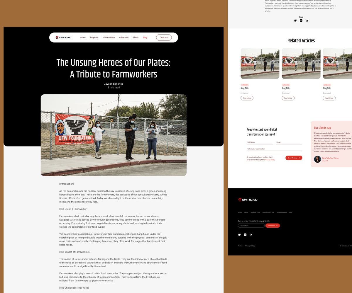 Entidad homepage section